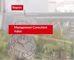 Report cover of Management Consultant Value